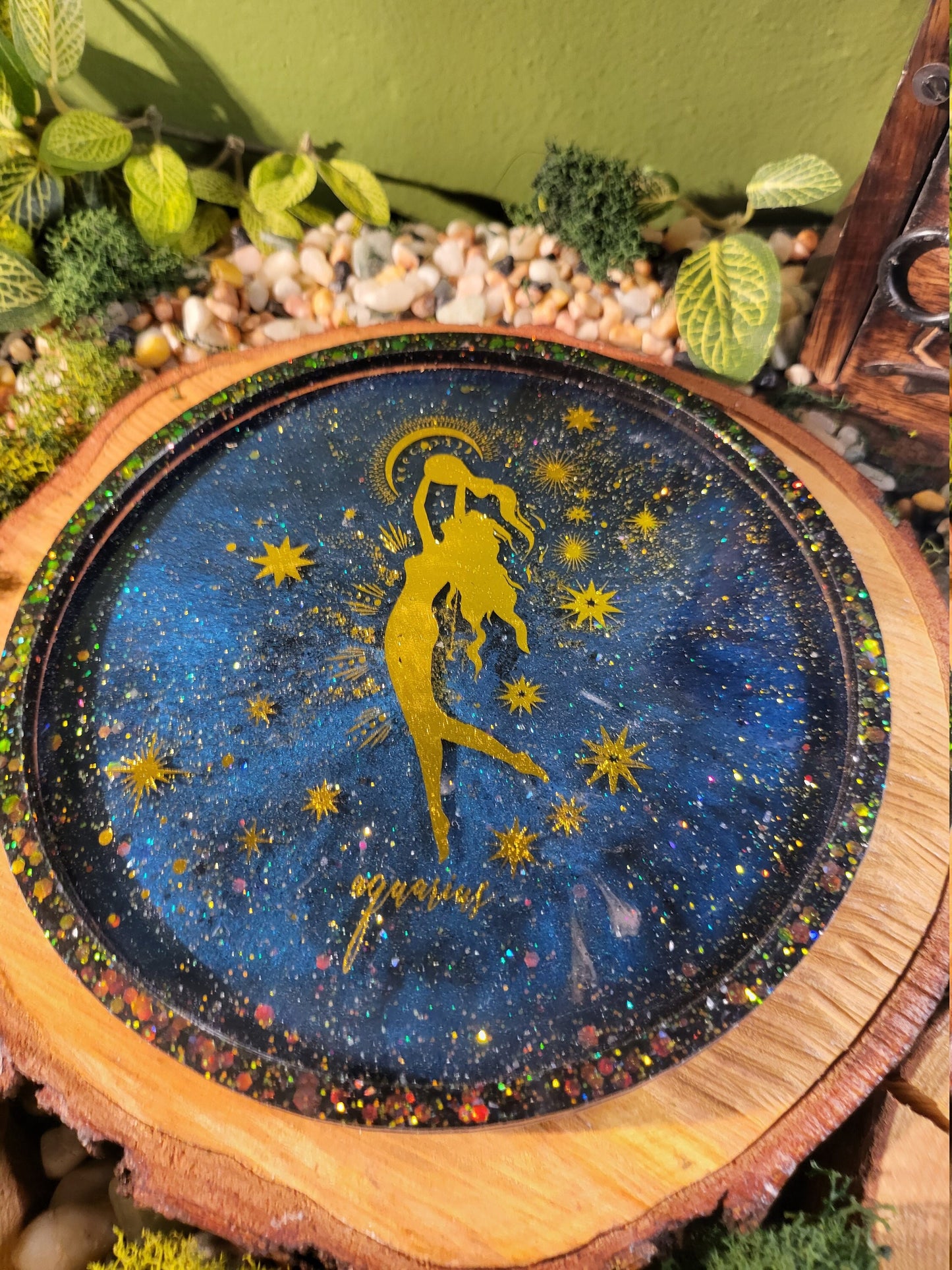 Aquarius Galaxy 6in Tray
