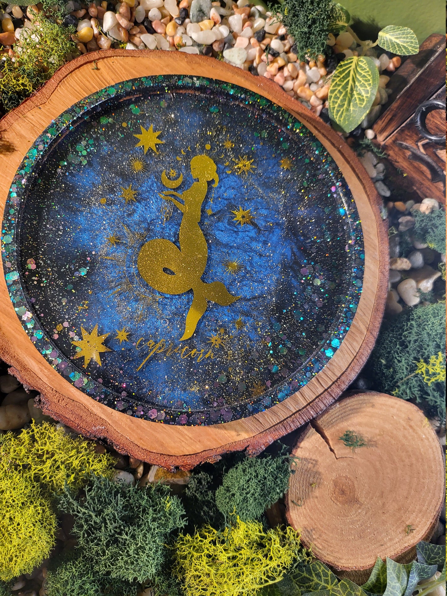 Capricorn Galaxy 6in Tray