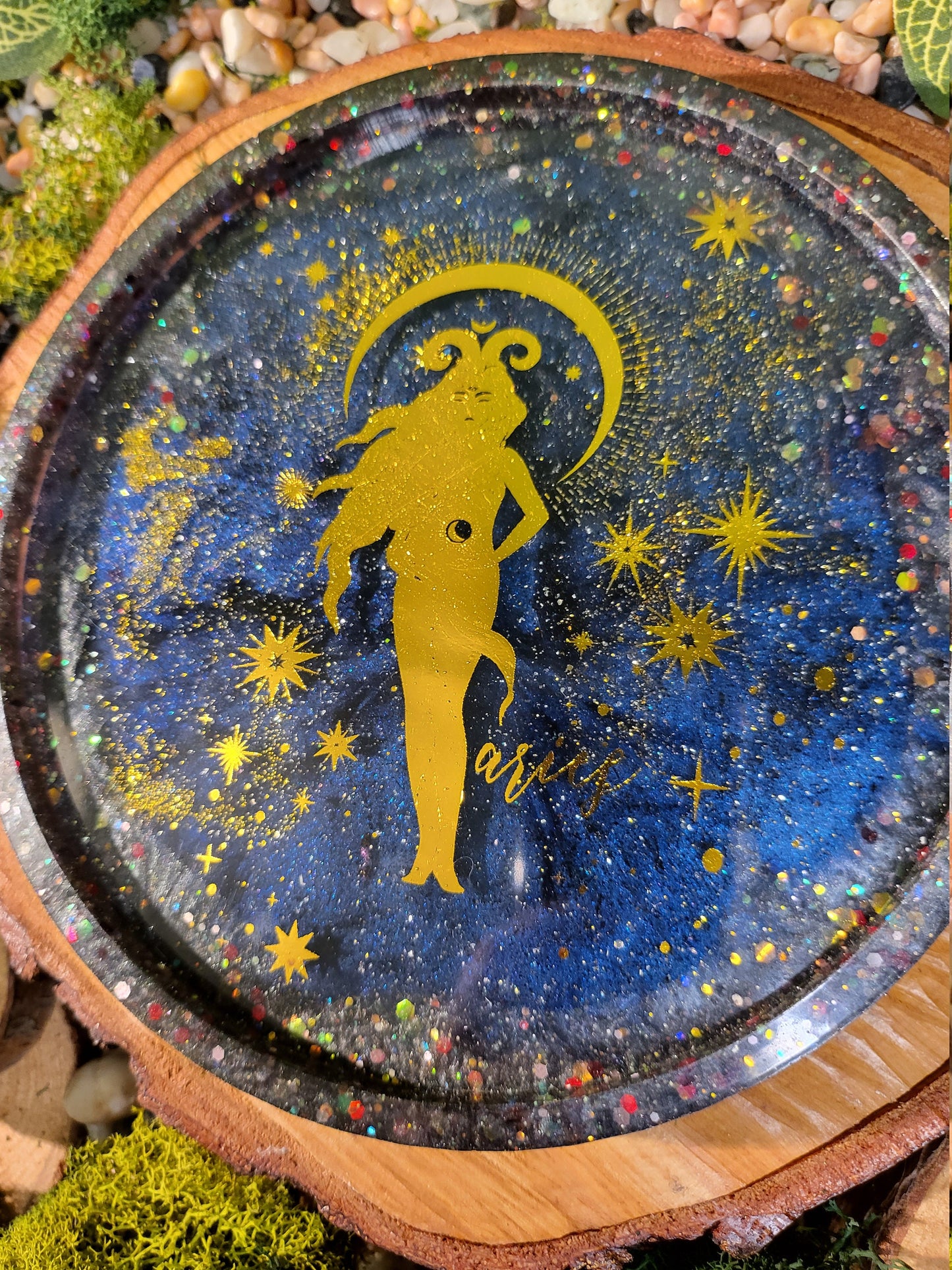 Aries Galaxy 6in Tray