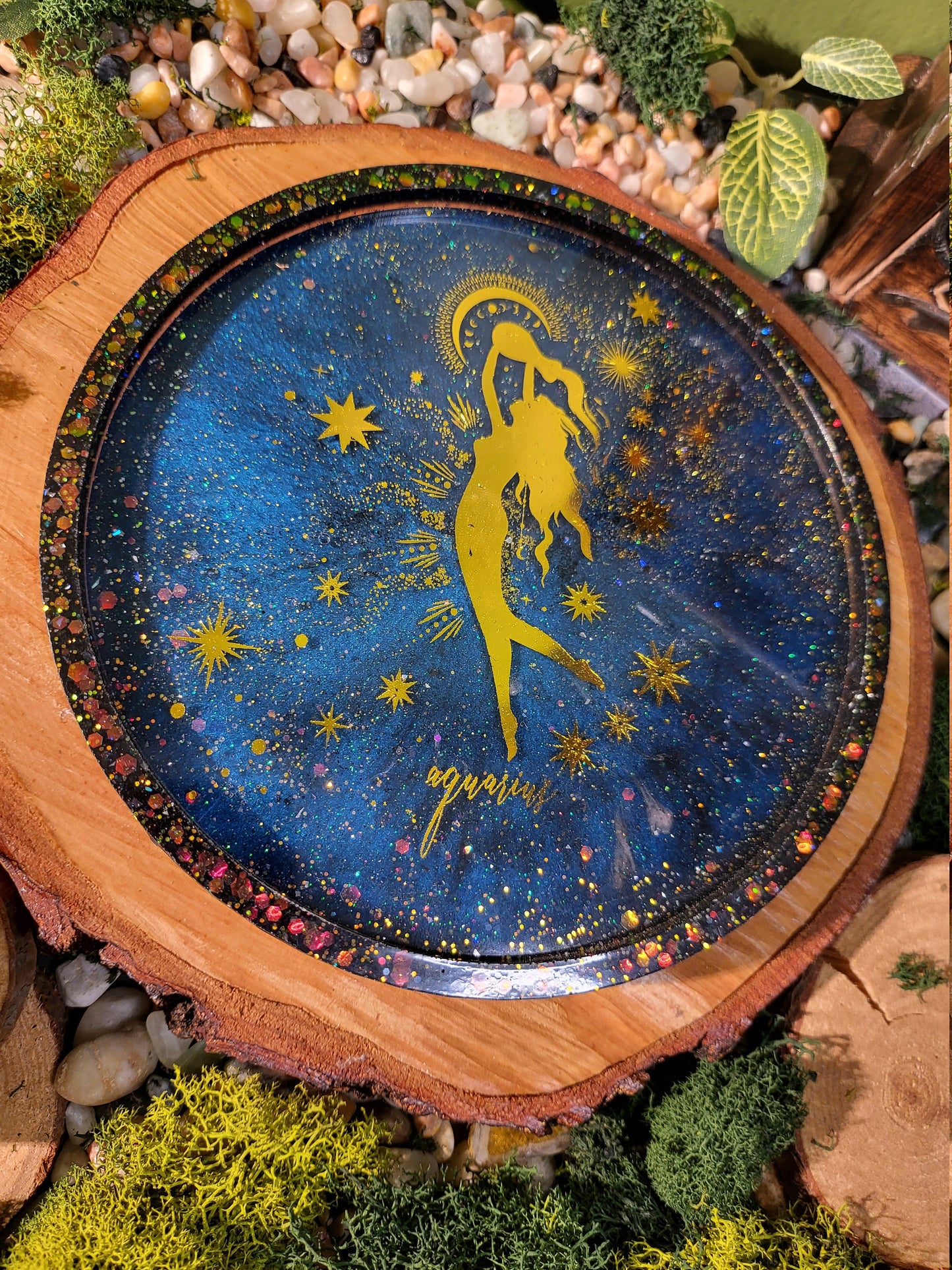 Aquarius Galaxy 6in Tray