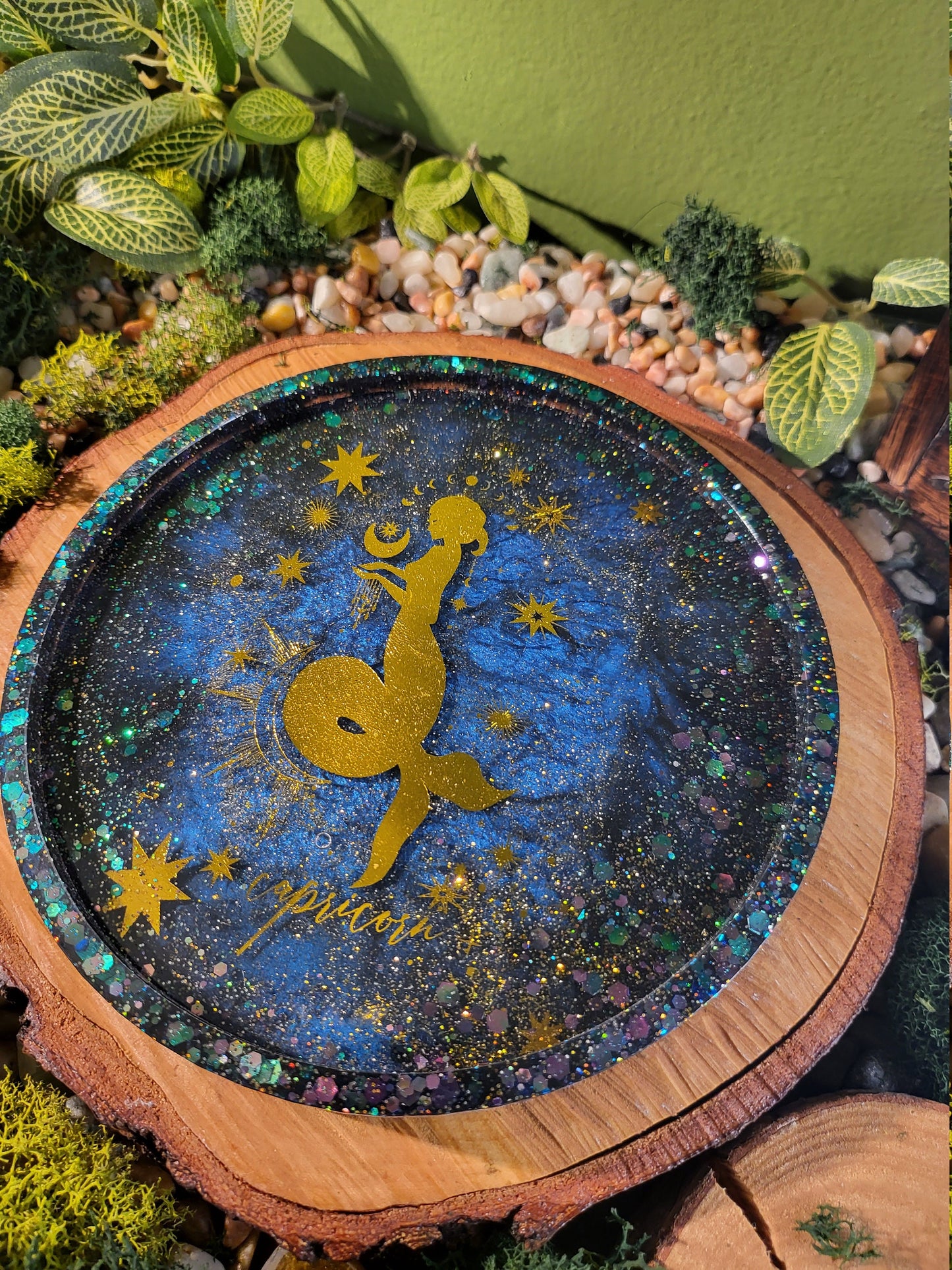 Capricorn Galaxy 6in Tray