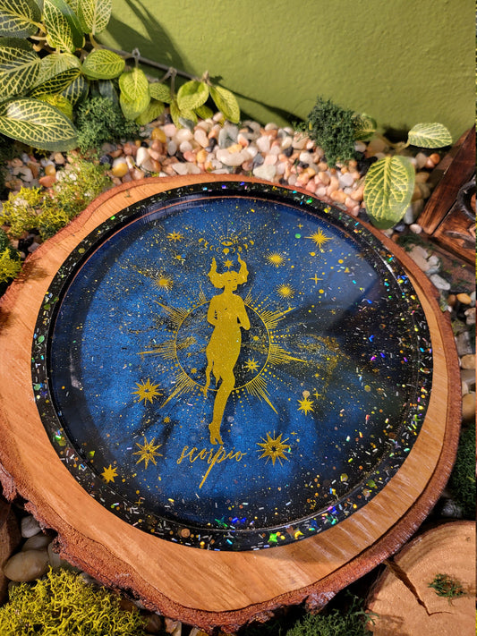 Scorpio Galaxy 6in Tray