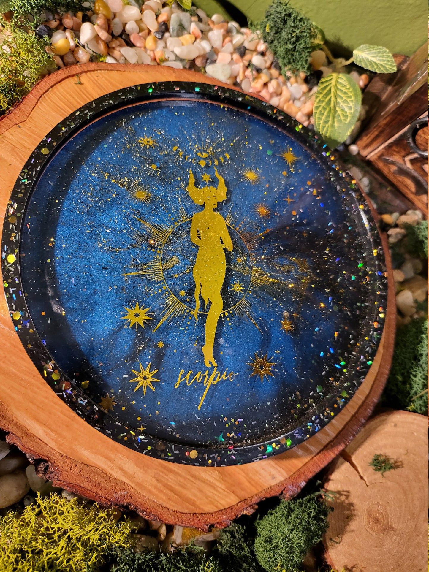 Scorpio Galaxy 6in Tray
