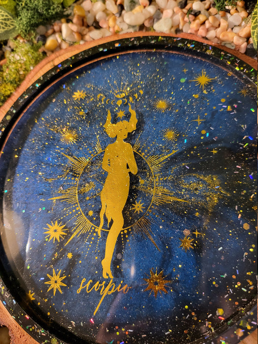 Scorpio Galaxy 6in Tray