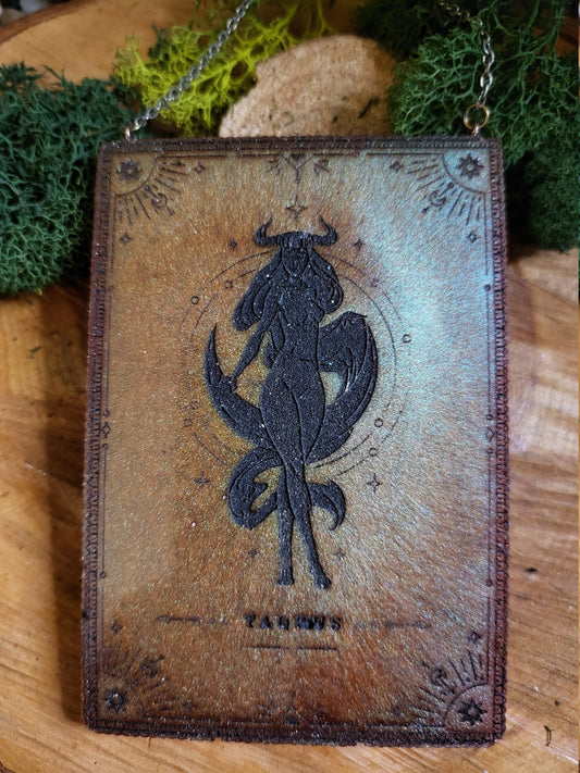 Copper and Black Taurus Wall Hanging